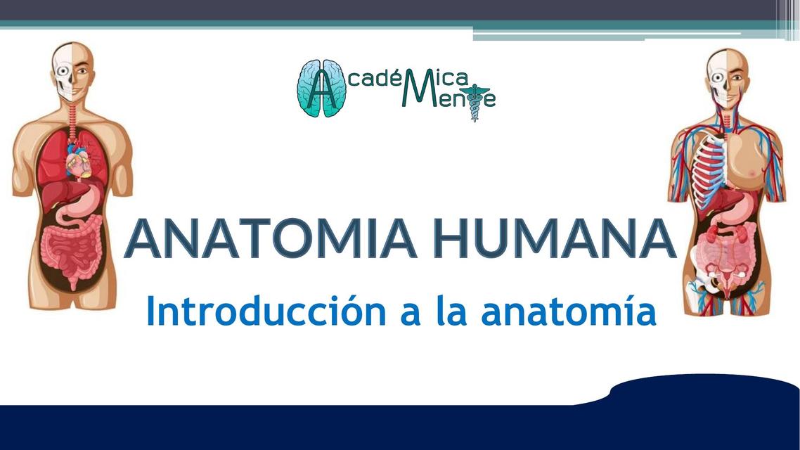 Anatomía humana