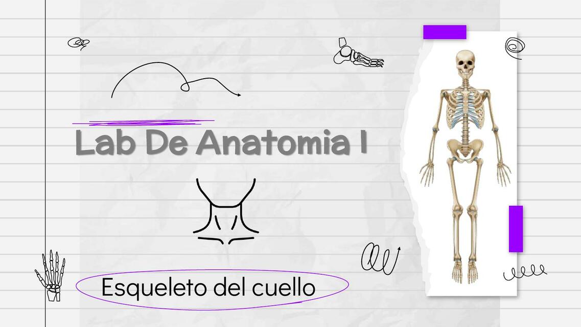 Lab de Anatomía I 