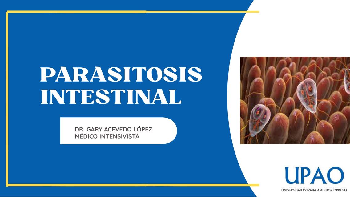 Parásitos intestinal 