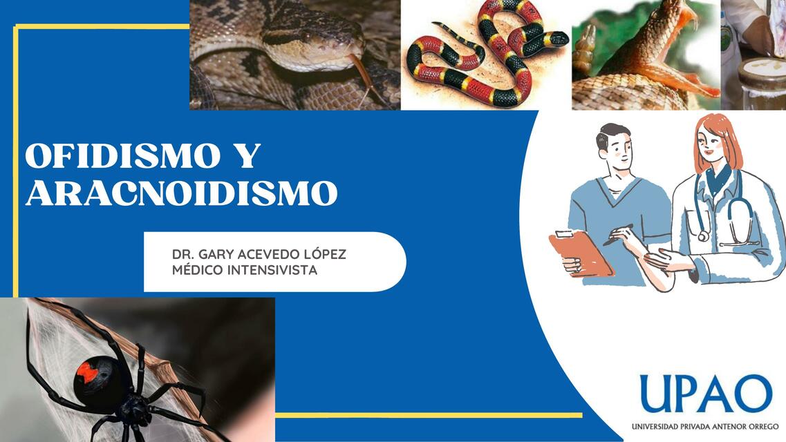 Mordeduras  De Arañas  y Serpientes  Venenosas  1