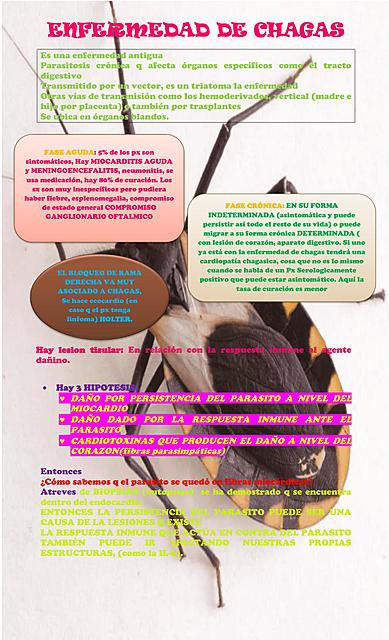 CHAGAS en cardiologia