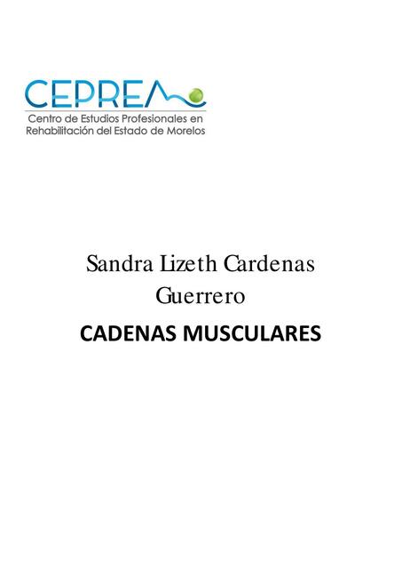 Cadenas musculares 