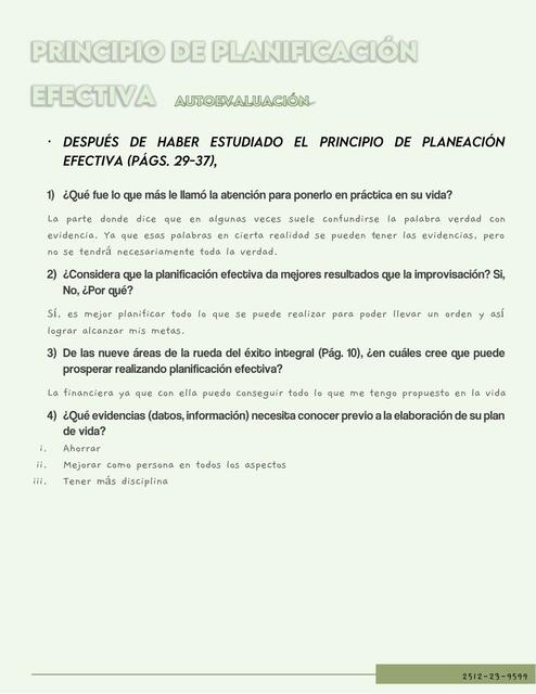 Principio de Planificación Efectiva