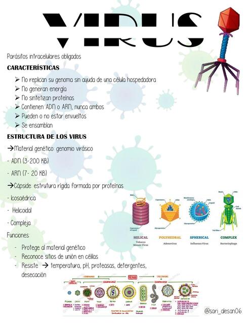 Virus