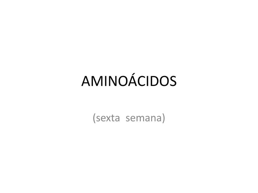 Aminoácidos 