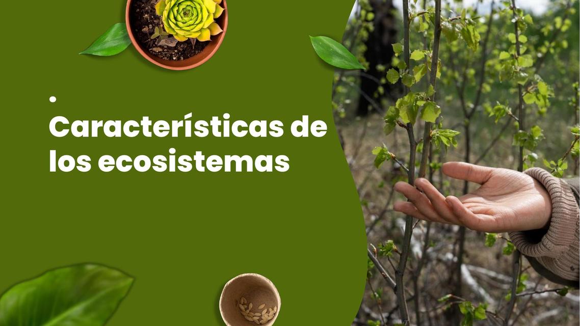 Características de los ecosistemas 