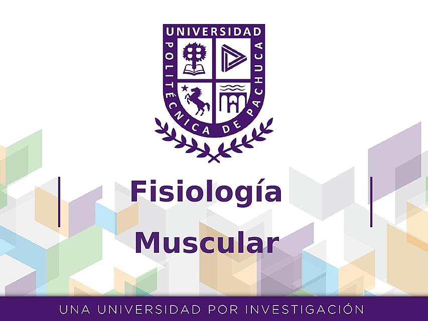 FISIOLOGIA MUSCULAR 