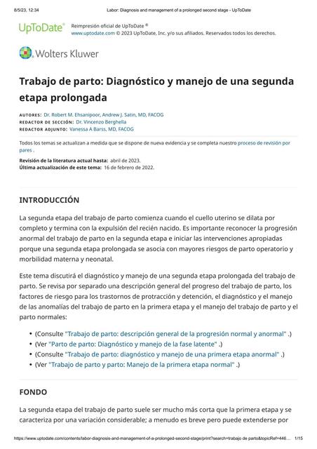 Trabajo de Parto: Diagnóstico y Manejo de una Segunda Etapa Prolongada 