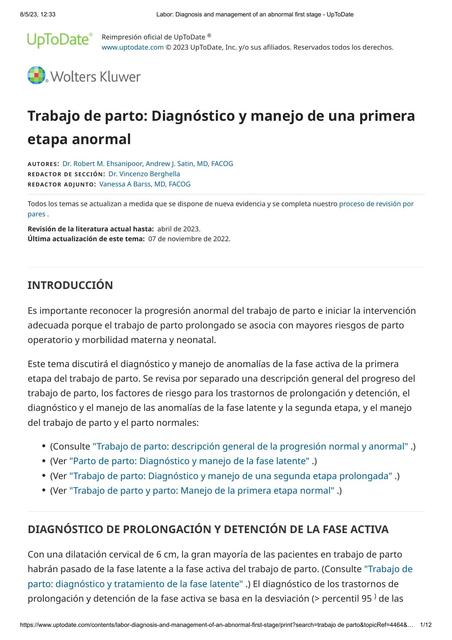 Trabajo de Parto: Diagnóstico y Manejo de una Primera Etapa Anormal 