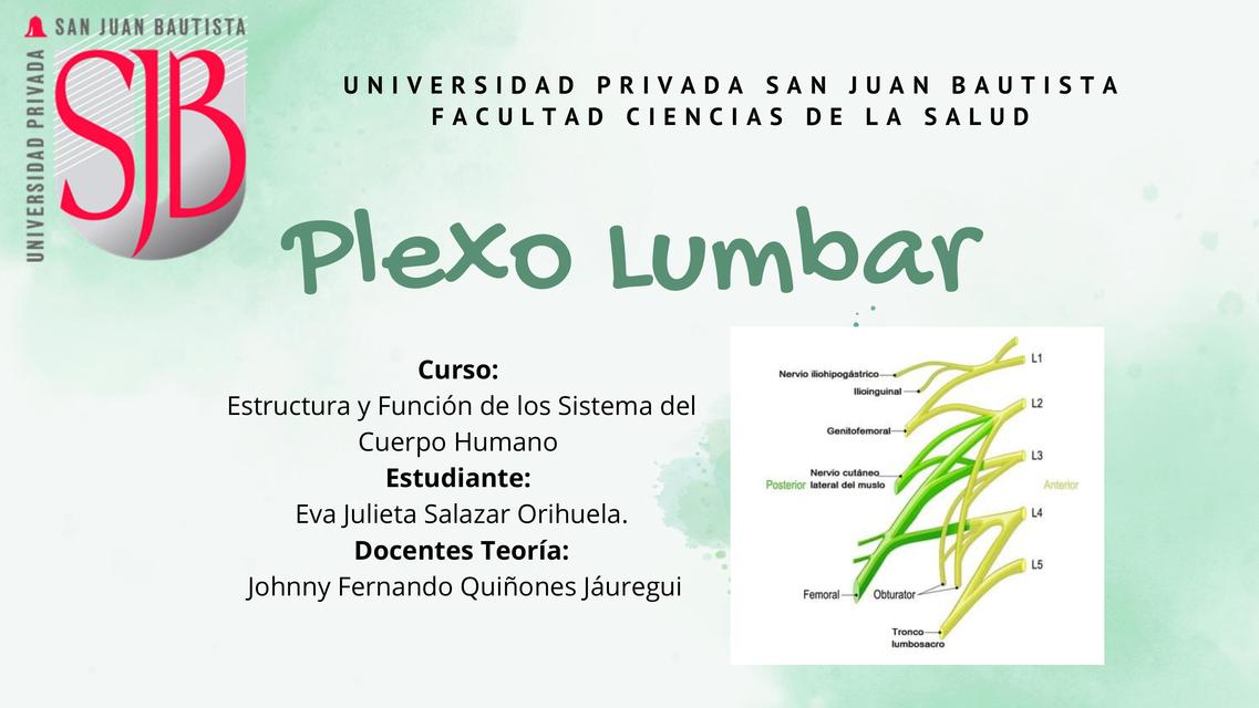 Plexo Lumbar  