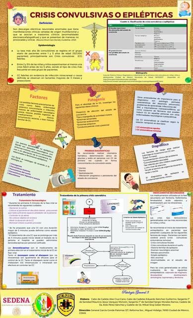 Infografía Epilepsia