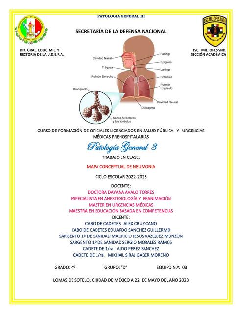 Mapa Conceptual de Neumonía