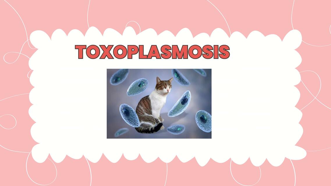 toxoplasmosis