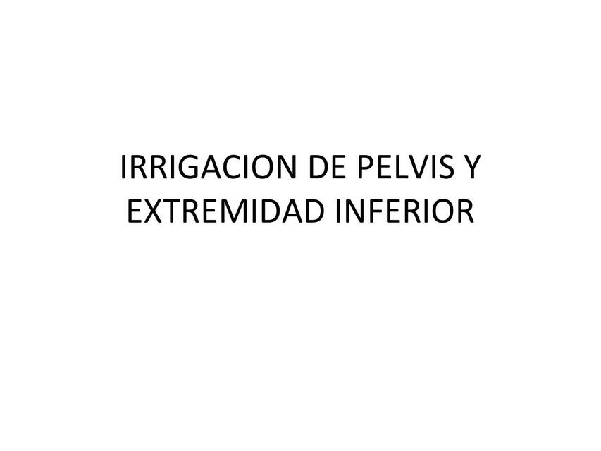 Irrigación de pelvis y extremidad inferior