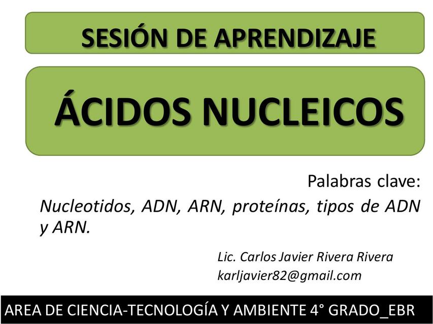 Ácidos Nucleicos 