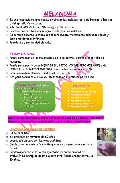 dermatologia 3