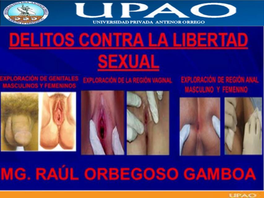 Delitos contra la libertad sexual 