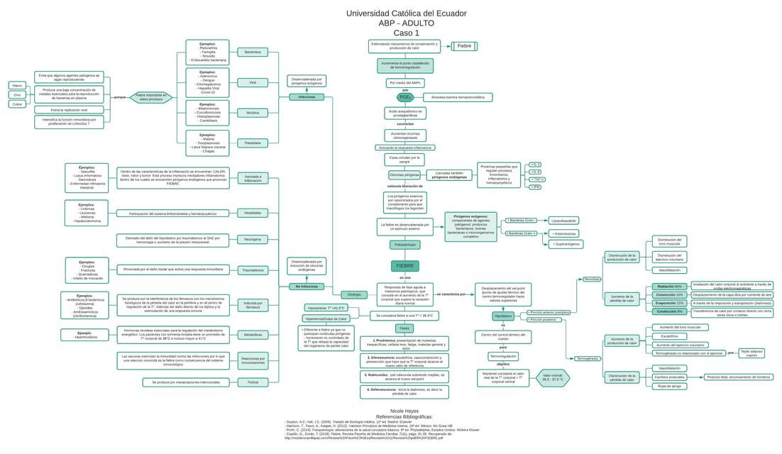 Mapa Conceptual Fiebre