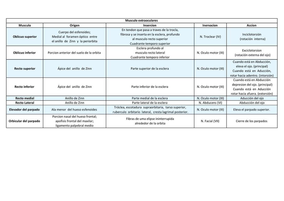 Músculos extraoculares