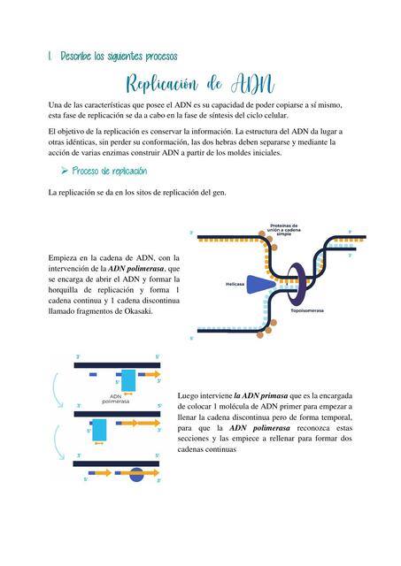 Replicación de ADN 