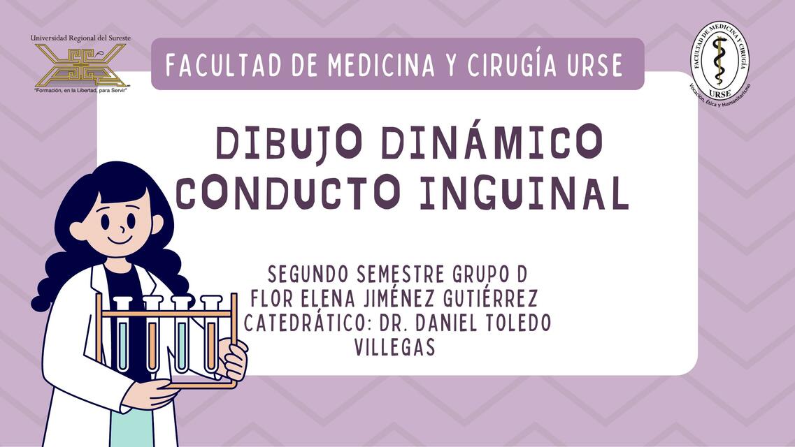 Dibujo Dinámico Conducto Inguinal 