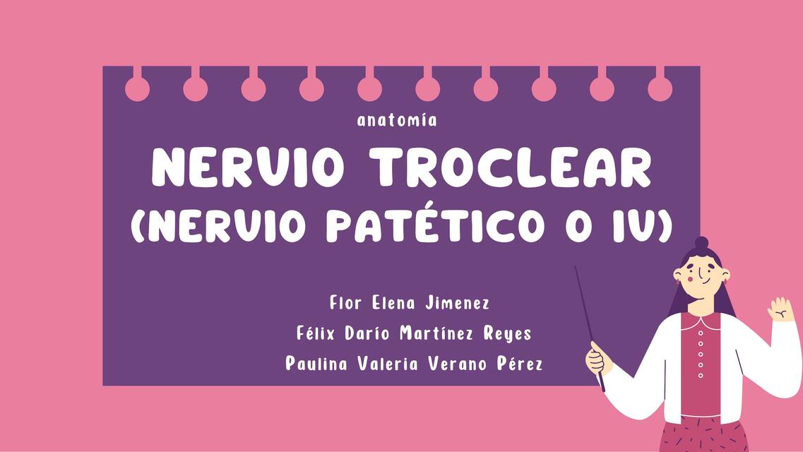 Nervio troclear