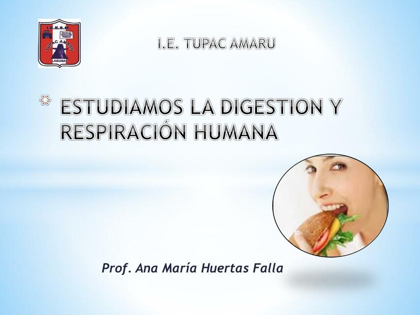 Estudiando la digestión y respiración humana