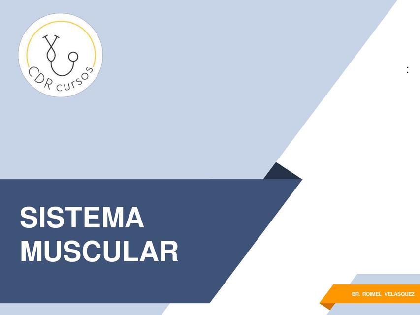 Sistema Muscular 