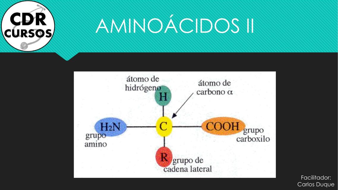 Aminoácidos II