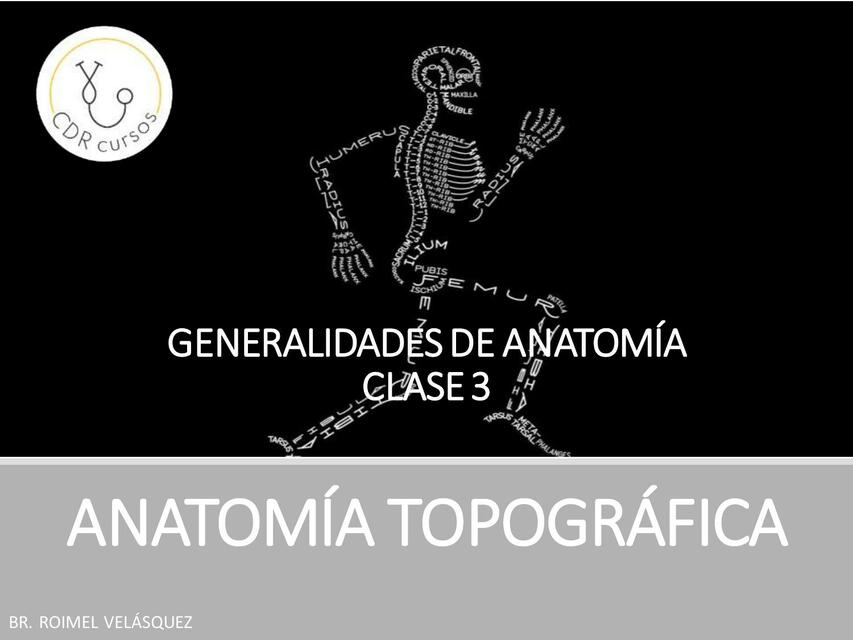 Anatomía Topográfica