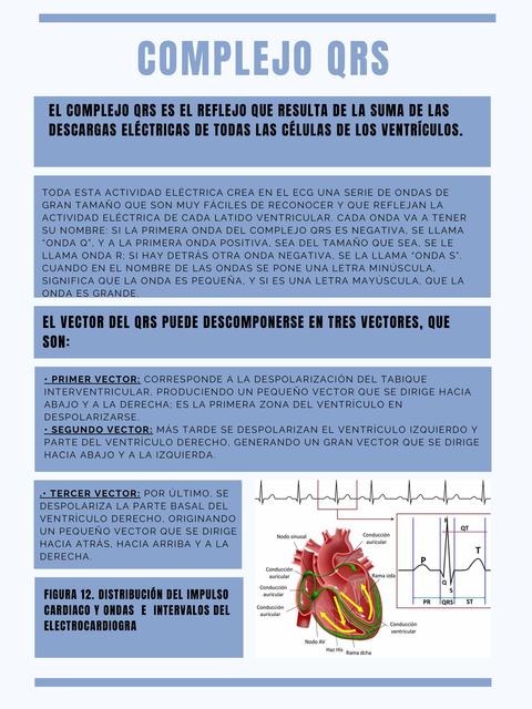 Complejo QRS 