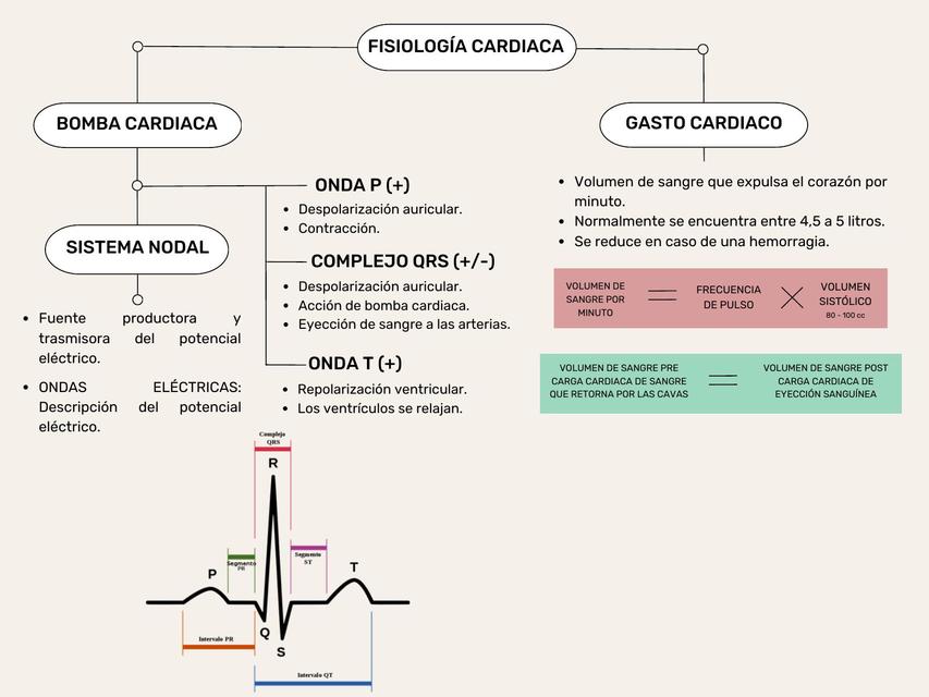 Fisiología Cardiaca