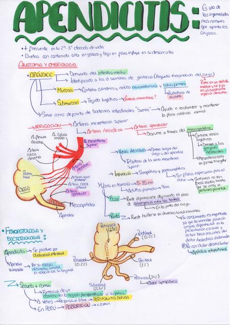 APENDICITIS