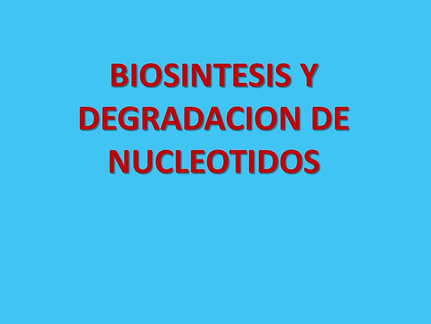 7 BIOSINTESIS Y DEGRADACION DE NUCLEOTIDOS