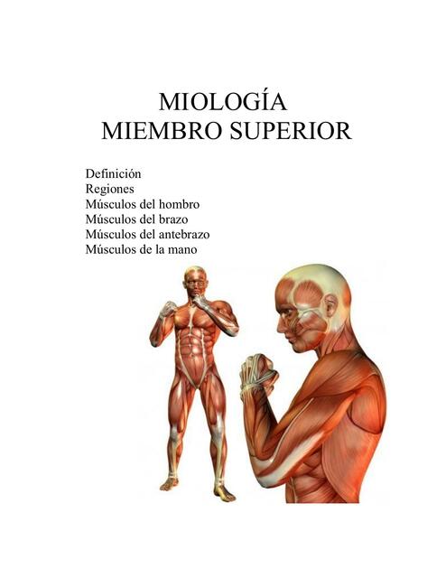 Miología miembros superiores