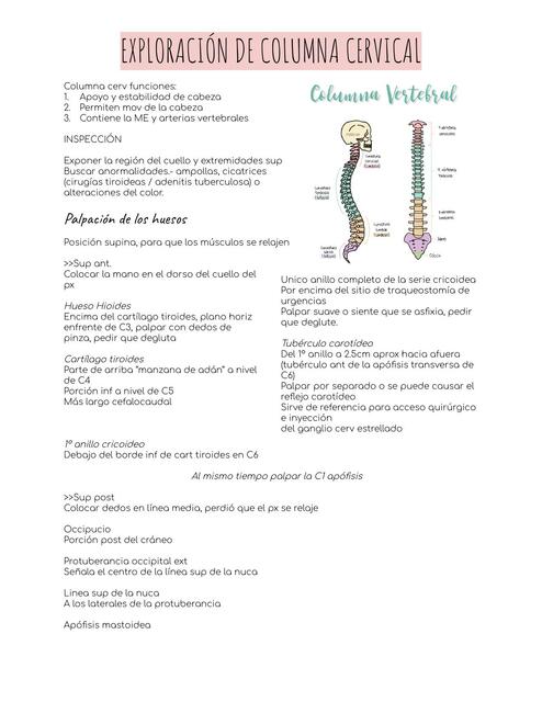 Exploración de la columna cervical docx