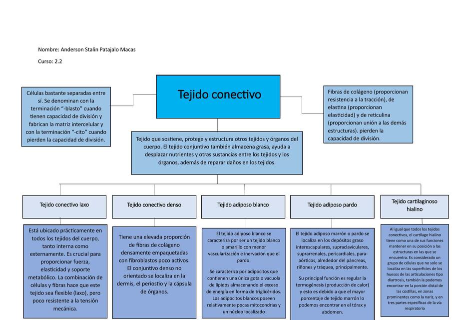 Tejido Conectivo