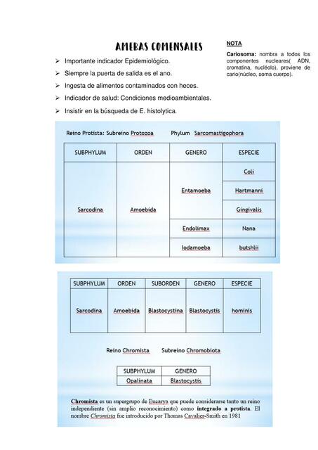 Amebas comensales y facultativas 1