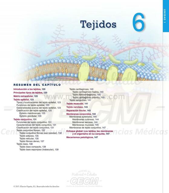 6 Tejidos 