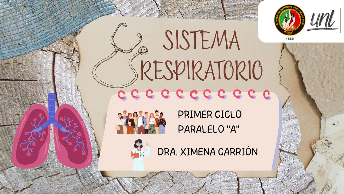 Sistema Respiratorio 