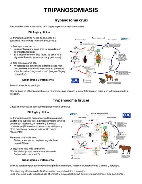 Tripanosomiasis