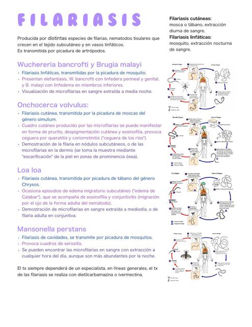 Filariasis