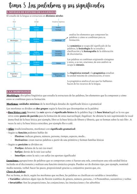 Tema 5 las palabras y sus significados