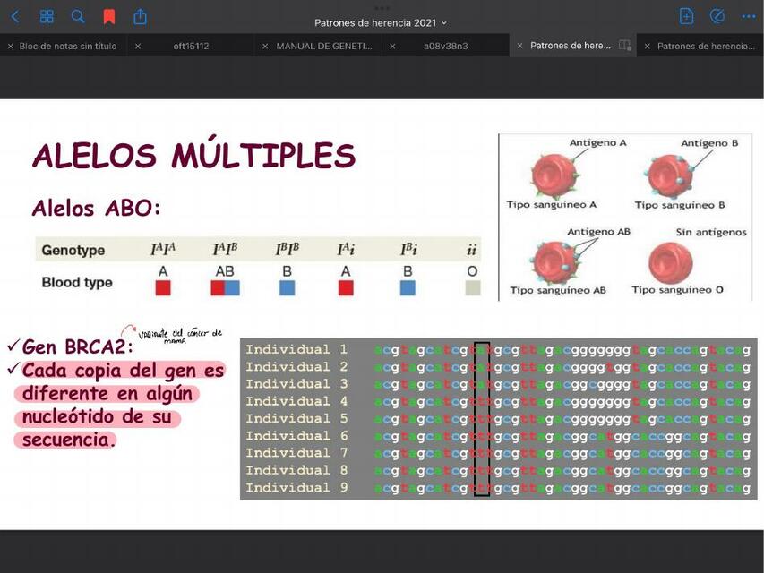 Alelos múltiples 