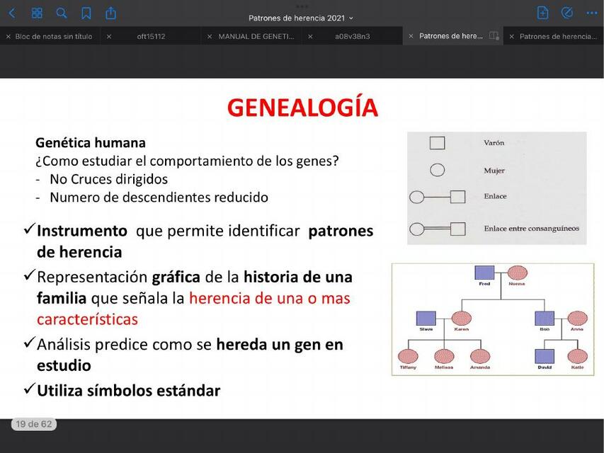 Genealogía 