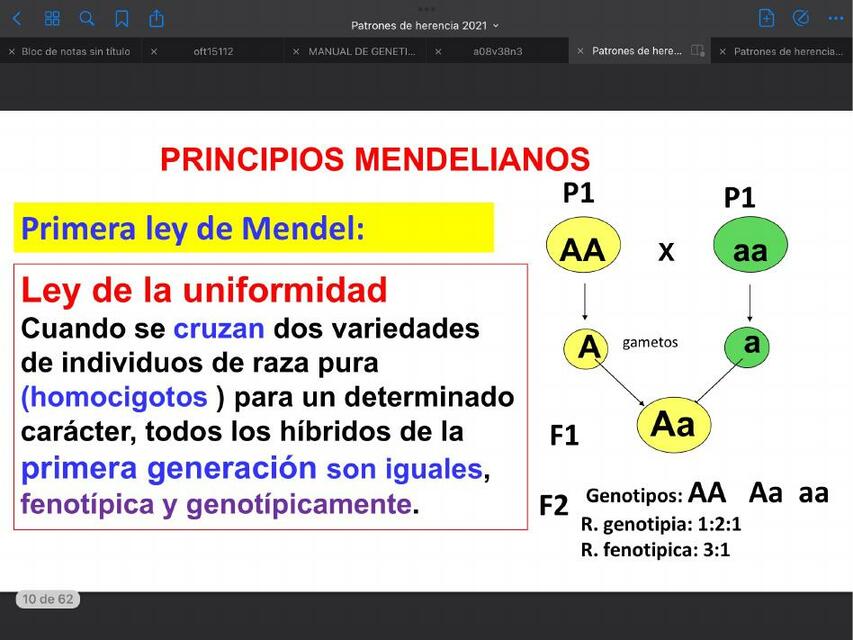 Principios mendelianos 