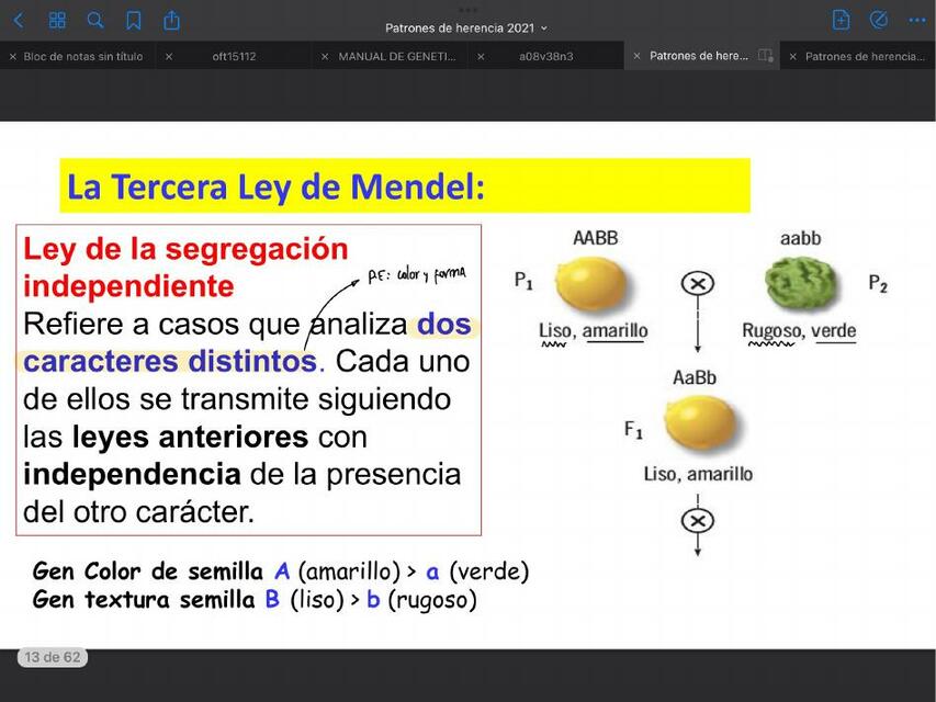 La tercera ley de Mendel 