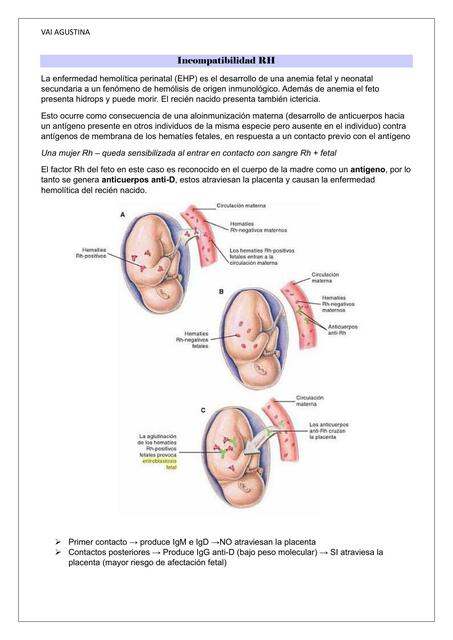 Incompatibilidad RH