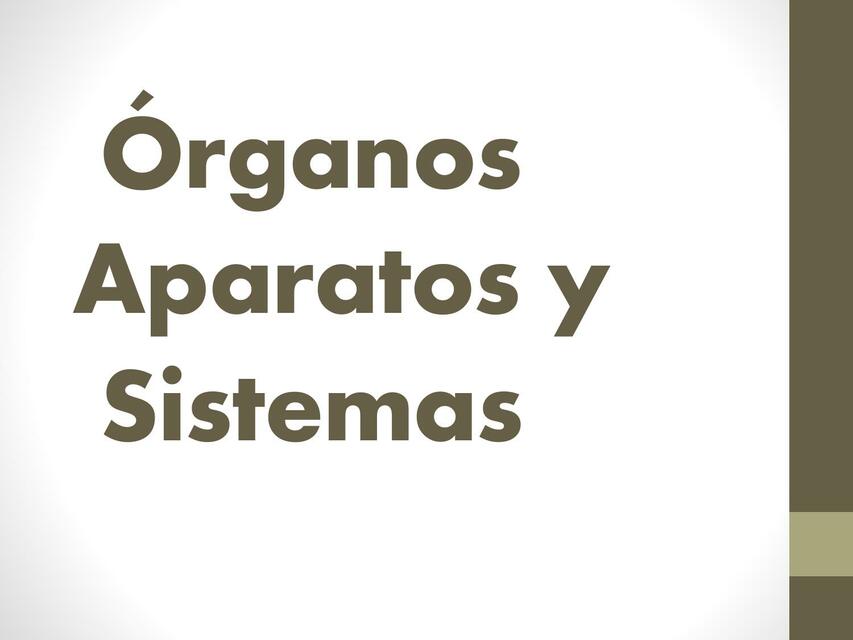 Órganos, Aparatos y Sistemas 