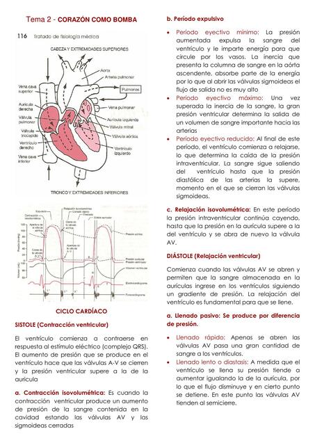 Fisiología cardiovascular: Corazón como bomba